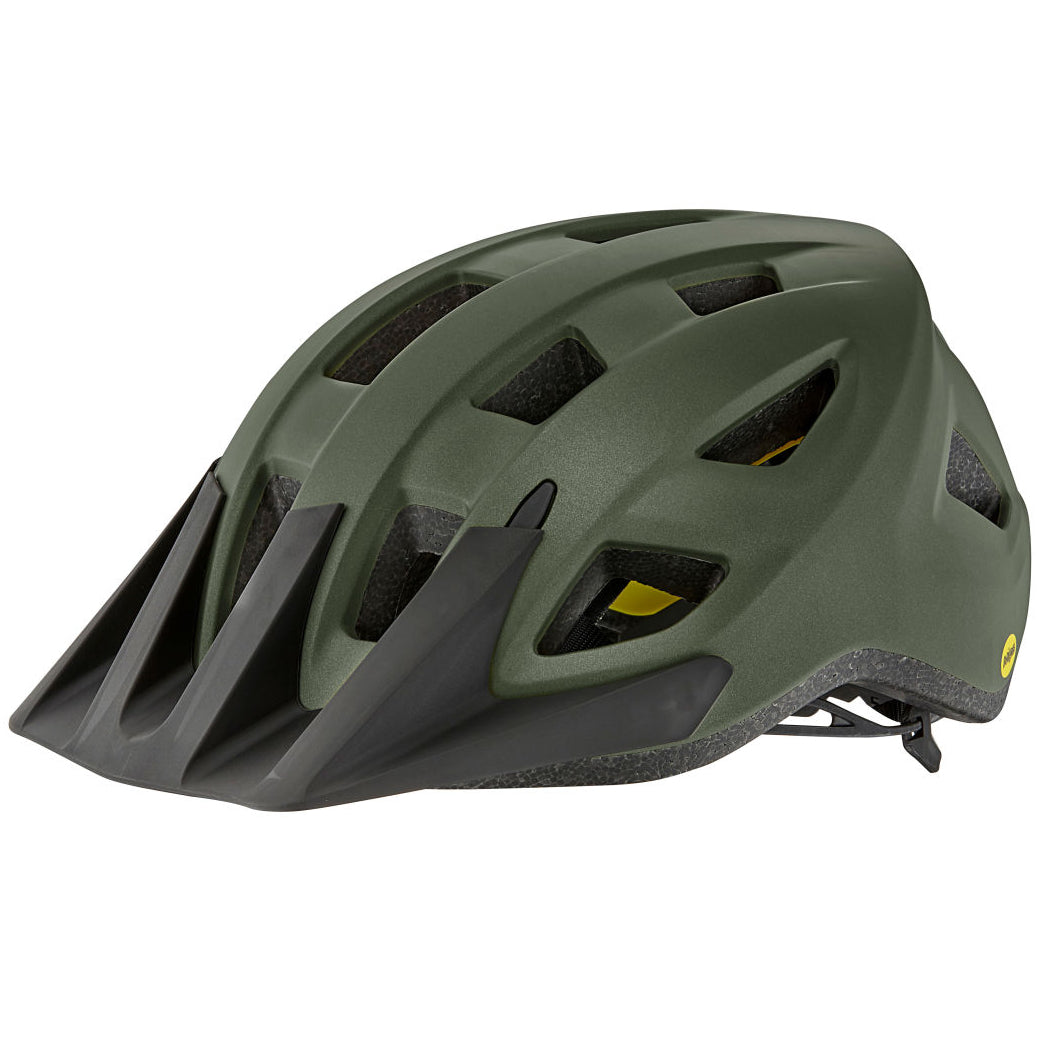 casco_giant_path_mips