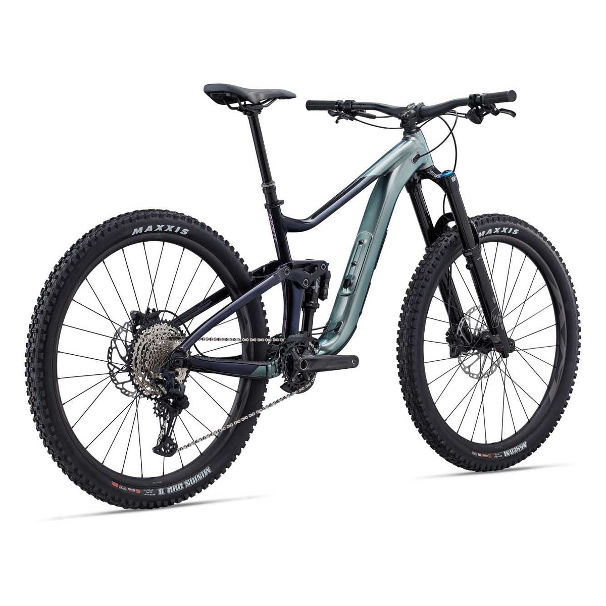 MY23Reign1ColorA_Airglow_ColdNight_Rear copia
