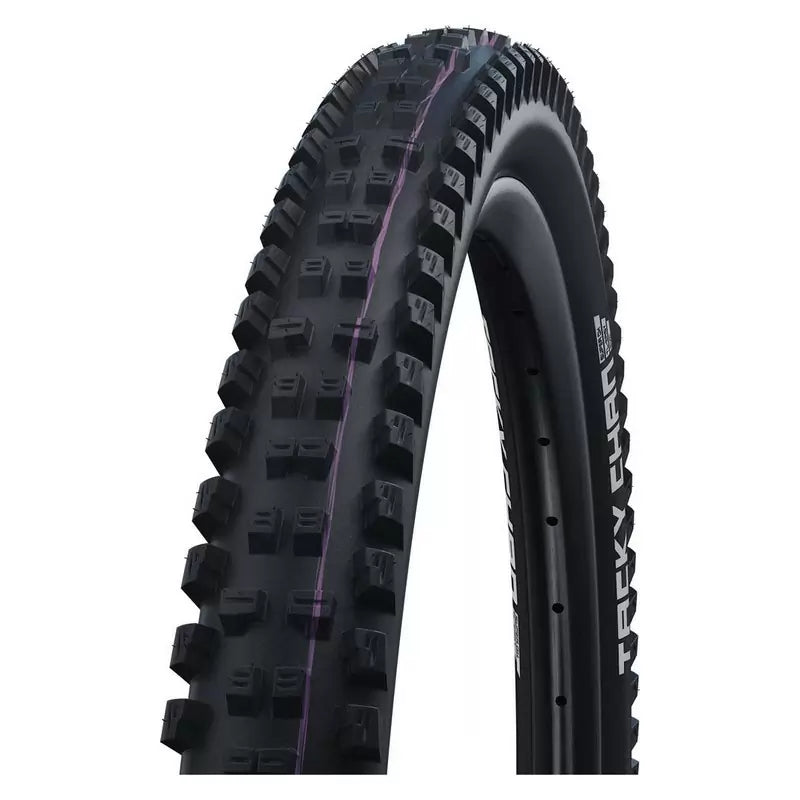 schwalbe11654478-20128200-tacky-f060a2